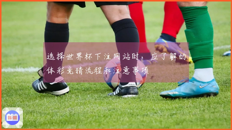 选择世界杯下注网站时，应了解的体彩竞猜流程和注意事项