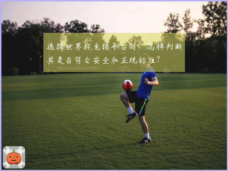 选择世界杯竞猜平台时，怎样判断其是否符合安全和正规标准？