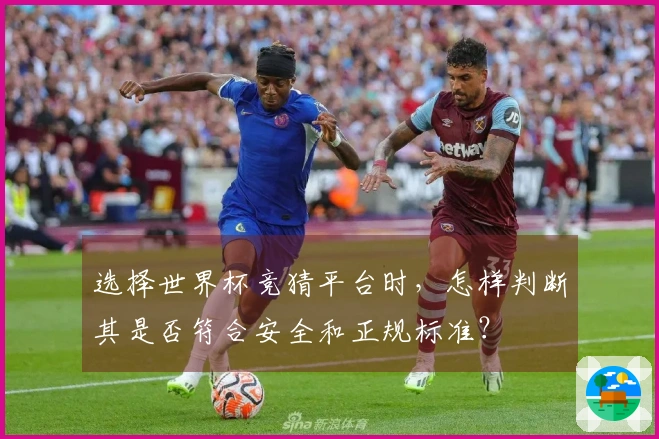 选择世界杯竞猜平台时，怎样判断其是否符合安全和正规标准？